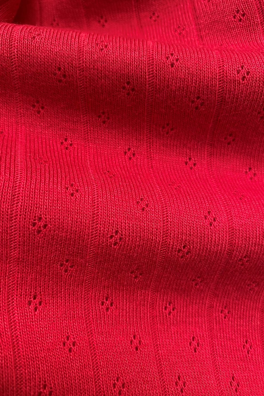 Lena Ruby Swatch